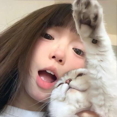 鲸鱼之友